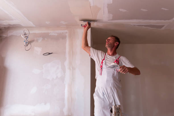 Best Ceiling Drywall Installation  in Gun Barrel City, TX